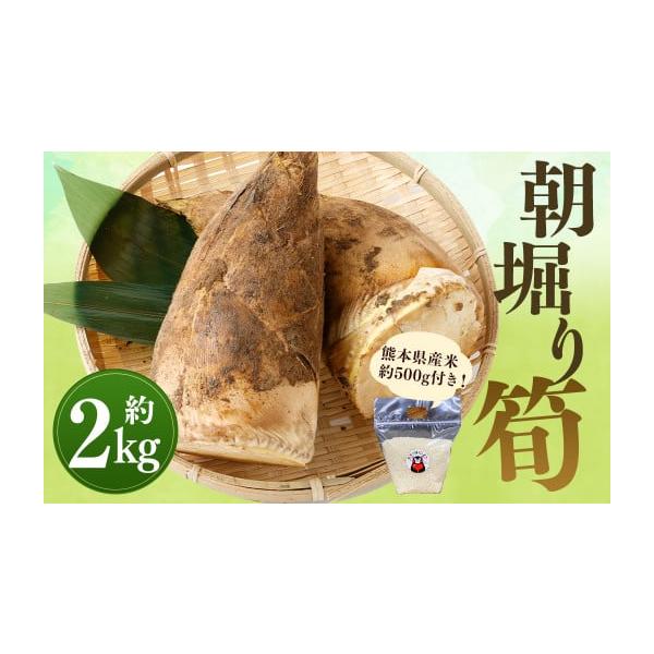 容量朝堀り筍：約2kg熊本県産米：約500g消費期限賞味期限：約1週間以内発送期日2026年3月上旬〜4月下旬迄発送予定配送冷蔵 時間指定 別送申込期日2026年4月10日まで事業者ボーノ・BOUNO申込条件何度も申し込み可