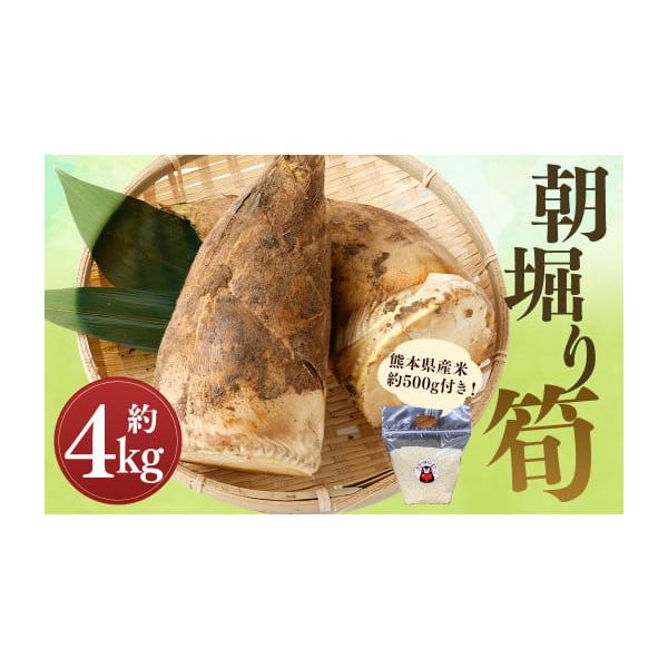 容量朝堀り筍：約4kg熊本県産米：約500g消費期限賞味期限：約1週間以内発送期日2026年3月上旬〜4月下旬迄発送予定配送冷蔵 時間指定 別送申込期日2026年4月10日まで事業者ボーノ・BOUNO申込条件何度も申し込み可