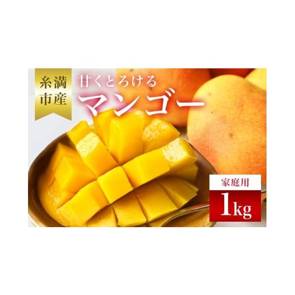 容量アーウィンマンゴー　1kg（2〜4玉）家庭用 ※玉数の指定はできません。消費期限食べ頃については、同梱のパンフレットをご確認の上、お召し上がりください。発送期日2026年6月下旬〜8月上旬頃予定配送冷蔵 別送事業者金善マンゴー申込条件何...