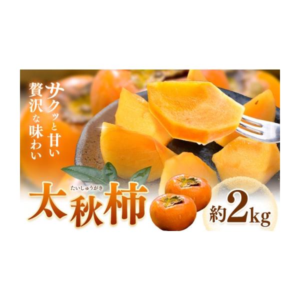 果物類 柿 熊本県 菊池市 先行予約 柿 太秋柿 たいしゅうがき 約2kg 日本フルーツ株式会社《2026年9月上旬-10月下旬頃出荷》熊本県 菊池市 柿 …