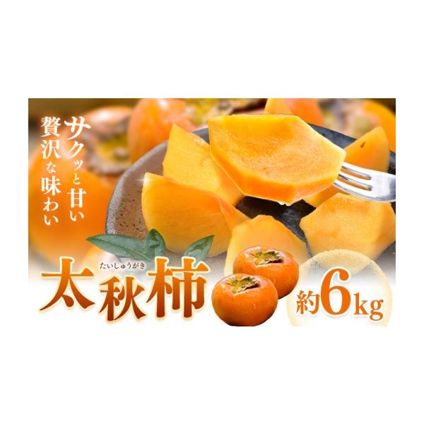 果物類 柿 熊本県 菊池市 先行予約 柿 太秋柿 たいしゅうがき 約6kg 日本フルーツ株式会社《2026年9月上旬-10月下旬頃出荷》熊本県 菊池市 柿 …