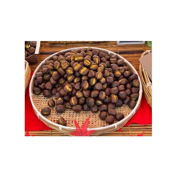 容量丹波焼き栗　230g×４袋消費期限賞味期限：商品到着後、冷凍保存にて３０日発送期日発注後２週間以内を目途に発送配送冷凍 別送事業者丹波の幸申込条件何度も申し込み可、オンライン決済限定