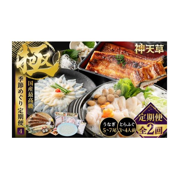 ふるさと納税 フグ 熊本県 上天草市 R8年熊本地震復興支援 2回定期便 極 季節めぐり定期便4 ふぐ フグ 河豚 とらふぐ トラフグ てっさ てっちり うなぎ ウナ…