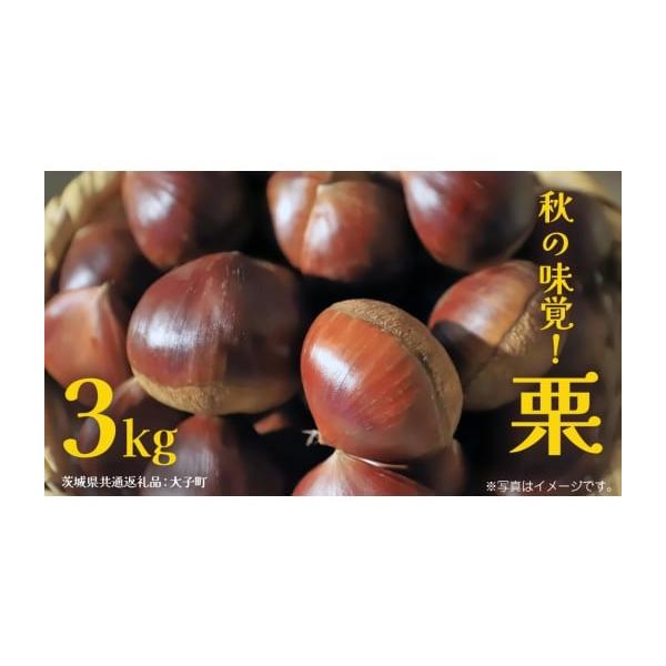 容量栗 3kg 消費期限発送から４日間発送期日2026年9月上旬頃より収穫後、発送開始。※クール便対象　配送できない地域がございます※ 　・伊豆諸島：青ヶ島村（青ヶ島）・利島村（利島）・御蔵島村（御蔵島）・式根島・小笠原諸島：小笠原村（父島...
