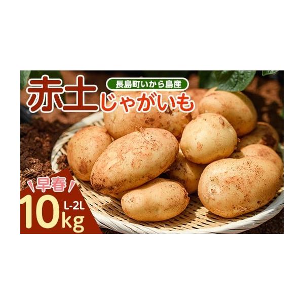 容量10kg箱入り(L〜2L)×1箱消費期限冷暗所で2週間　なるべく早くお召し上がりください。発送後の保存方法：要冷蔵（10度以下にて冷蔵保存）発送期日2026年2月中旬より発送予定※ダンボールに入れ、発送します。【注意】・配送に関するご相...