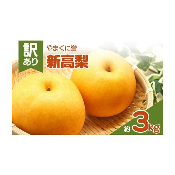 容量約3kg消費期限発送日から5日程度※高温・多湿・直射日光を避け、涼しい場所に保管してください。※保存状態により日持ちに差が出る場合がありますので、果実の状態をよくご確認の上、お早めにお召し上がりください。発送期日2026年10月に順次発...