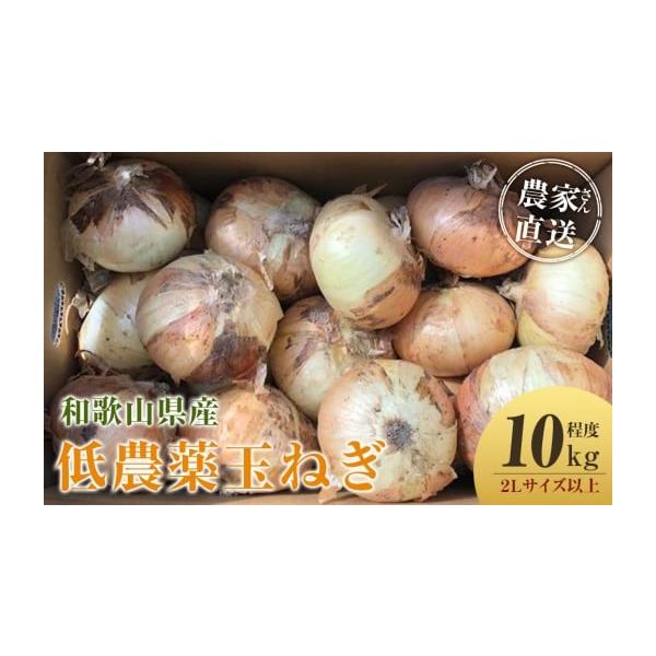 容量玉ねぎ ２Lサイズ以上 10kg程度※発送時期により内容が異なります。種類はお選びいただけません。消費期限新玉ねぎ（4月中旬〜5月下旬頃）※お届け後、冷蔵庫にて1週間程度（※新玉ねぎは水分量が多いので出来るだけお早めにお召し上がりくださ...
