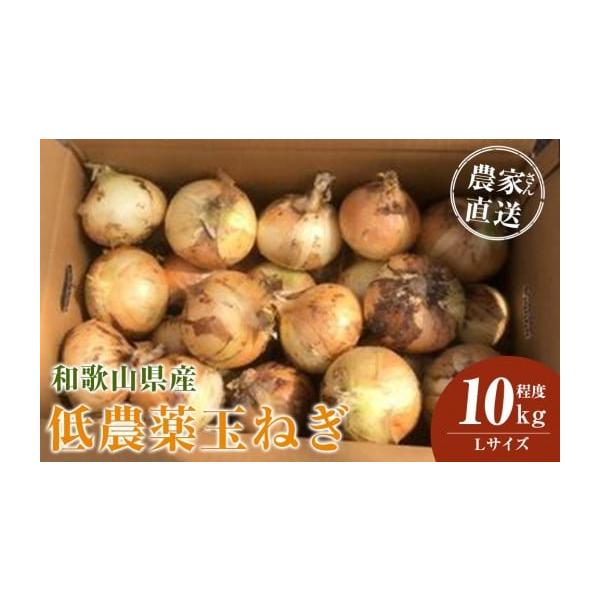 容量玉ねぎ  Lサイズ 10kg程度※発送時期により内容が異なります。種類はお選びいただけません。消費期限新玉ねぎ（4月中旬〜5月下旬頃）※お届け後、冷蔵庫にて1週間程度（※新玉ねぎは水分量が多いので出来るだけお早めにお召し上がりください。...
