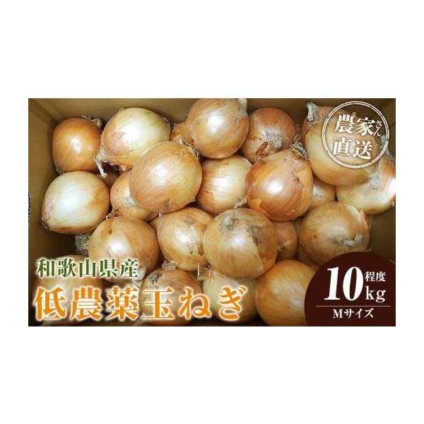容量玉ねぎ Mサイズ 10kg程度※発送時期により内容が異なります。種類はお選びいただけません。消費期限新玉ねぎ（4月中旬〜5月下旬頃）※お届け後、冷蔵庫にて1週間程度（※新玉ねぎは水分量が多いので出来るだけお早めにお召し上がりください。）...
