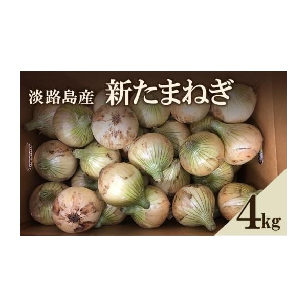 容量淡路島産 新たまねぎ　4kg生産地：洲本市　消費期限発送から10日発送期日2026年3月上旬〜2026年5月末配送常温 別送申込期日2026年5月17日まで事業者島の里申込条件何度も申し込み可