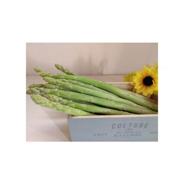 容量アスパラガス 約1kg消費期限お早めにお召し上がりください。発送期日2026年3月より順次発送（生育状況によっては、出荷日が前後する可能性があります。）配送常温 別送申込期日〜2026年3月10日事業者谷口農園申込条件何度も申し込み可、...