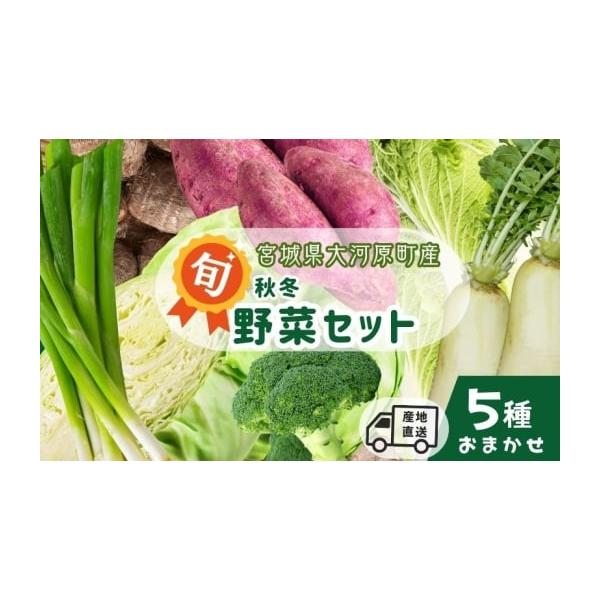 容量旬の野菜5種　※種類、数量は事業者お任せとなります。消費期限発送から冷蔵で7日間発送期日2025年11月1日〜2026年2月28日配送冷蔵 別送申込期日2026年2月14日まで事業者かず農園申込条件何度も申し込み可