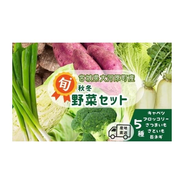 容量旬の野菜5種キャベツ 、ブロッコリー、さつまいも、さといも、長ねぎ消費期限発送から冷蔵で7日間発送期日2025年11月1日〜2026年2月28日配送冷蔵 別送申込期日2026年2月14日まで事業者かず農園申込条件何度も申し込み可