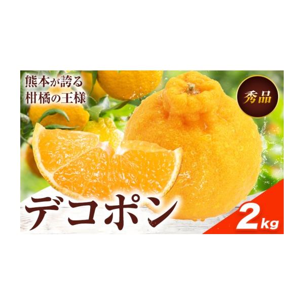 みかん・柑橘類 熊本県 荒尾市 デコポン 約2kg 日本フルーツ株式会社 熊本県 荒尾市 《12月中旬-4月上旬出荷予定》 デコポン 果物 秀品 フルーツ…