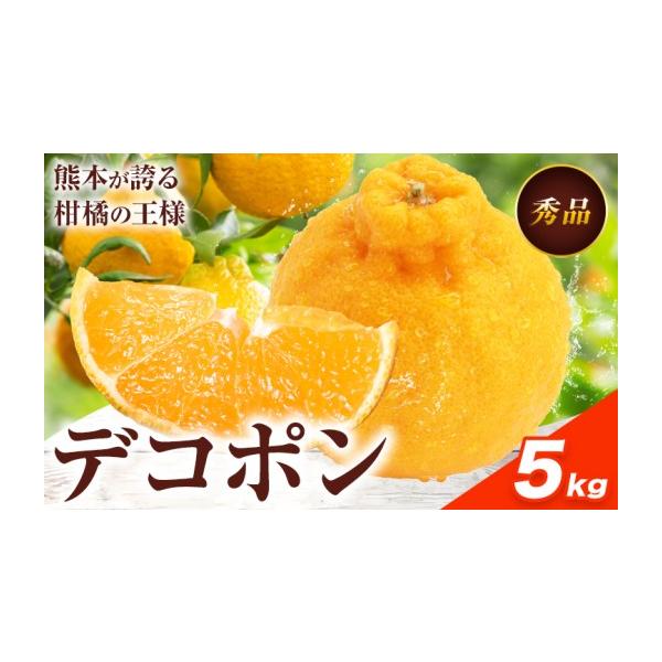 みかん・柑橘類 熊本県 荒尾市 デコポン 約5kg 日本フルーツ株式会社 熊本県 荒尾市 《12月中旬-4月上旬頃出荷》 デコポン 果物 秀品 フルーツ …