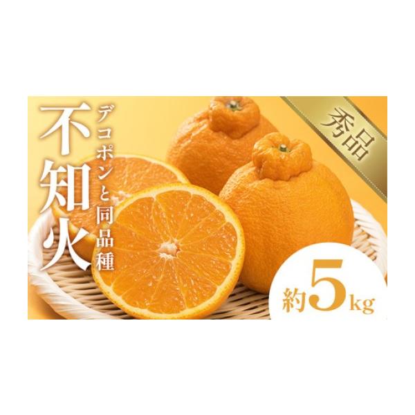 みかん・柑橘類 熊本県 荒尾市 不知火 デコポン 同品種 約5kg 日本フルーツ株式会社 熊本県 荒尾市 《2月上旬-4月上旬頃出荷》 デコポン 果物 秀…