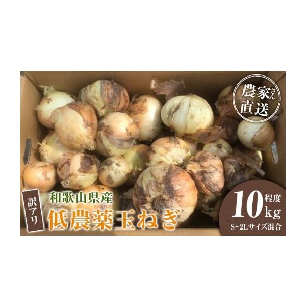 容量玉ねぎSサイズから2Lサイズ混合品。 10kg程度※収穫中に皮が剥けて傷がついたものや、レモンのような細長く小さい形や規格外の大きなもの等。※発送時期により内容が異なります。種類はお選びいただけません。消費期限新玉ねぎ（4月中旬〜5月下...