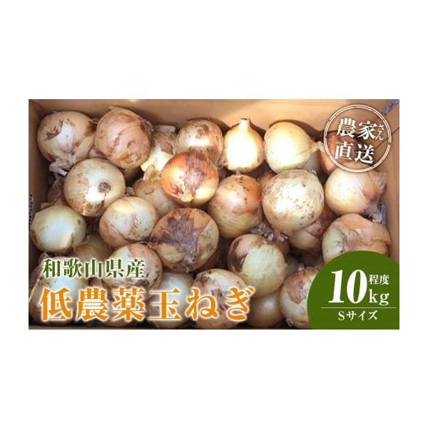 容量玉ねぎ Sサイズ 10kg程度※発送時期により内容が異なります。種類はお選びいただけません。消費期限新玉ねぎ（4月中旬〜5月下旬頃）※お届け後、冷蔵庫にて1週間程度（※新玉ねぎは水分量が多いので出来るだけお早めにお召し上がりください。）...