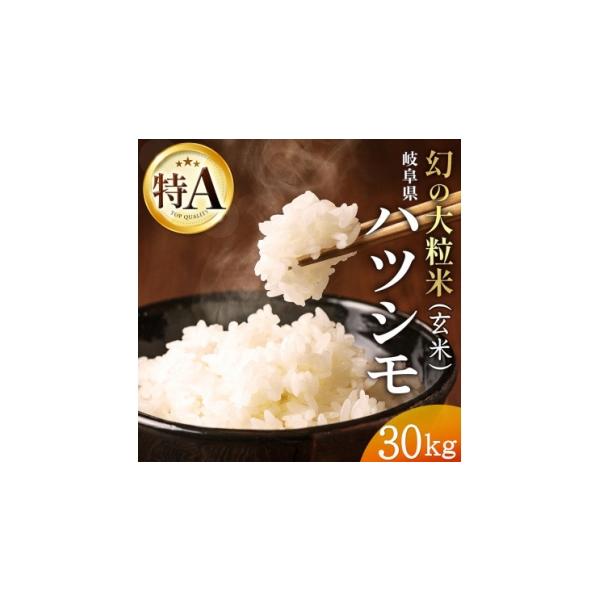 ふるさと納税 玄米 岐阜県 羽島市 令和7年産 岐阜県産ハツシモ(玄米 