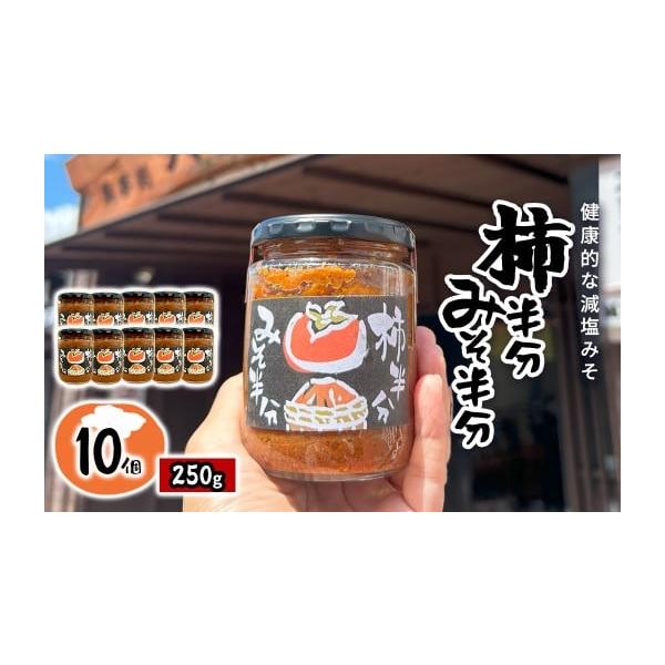 ふるさと納税 味噌 千葉県 大多喜町 W04011 柿半分 みそ半分 10個