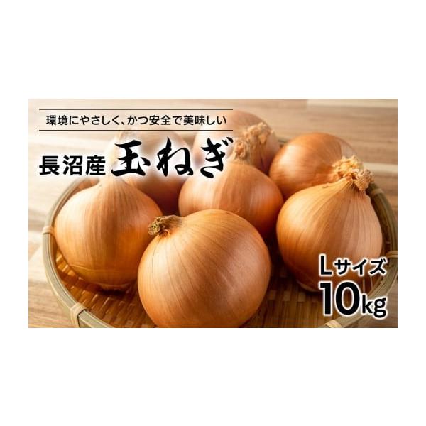 容量玉ねぎＬサイズ10kg発送期日2025年11月下旬から発送開始配送常温 別送申込期日〜2025年12月31日事業者合同会社マスケン申込条件何度も申し込み可