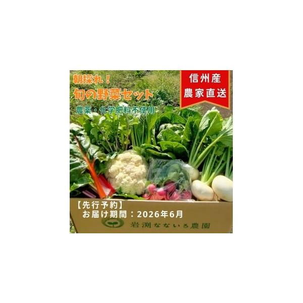 容量【内容・サイズ】旬の野菜セット7種【産地・原材料名】長野県佐久市産（栽培期間中、農薬や化学肥料は使用しておりません）消費期限生鮮品（農作物）のため、新鮮なうちにできるだけお早めにお召し上がりください。発送期日出荷時期は返礼品名に記載配送...