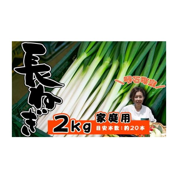容量2kg以上（家庭用）目安本数：約20本※土が付いていない状態でお送りします消費期限賞味期限：発送日から１週間発送期日寄附納入確認後、1ヶ月以内に発送します。配送冷蔵 時間指定 別送申込期日2026年1月12日まで事業者高橋農園申込条件何...