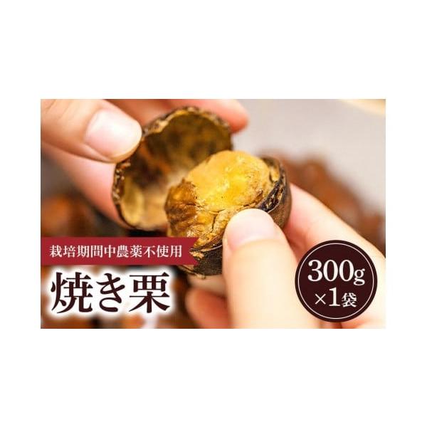 容量冷凍　焼き栗 M〜L混合300g（1袋）発送期日入金確認後、10月下旬頃より順次発送予定となります。※天候により出荷時期が前後する場合がございますので予めご了承ください。【注意事項】※申し訳ございませんが、沖縄県、伊豆諸島（大島・八丈島...