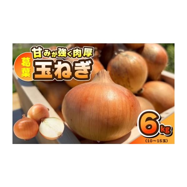 容量葛葉玉ねぎ 6kg（10〜15玉）※画像はイメージです。消費期限可能な限り早めにお召し上がりください。発送期日2026年4月中旬から6月末までの期間にご寄附の受付順に発送予定※天候により収穫・発送予定が前後する場合がございますのであらか...