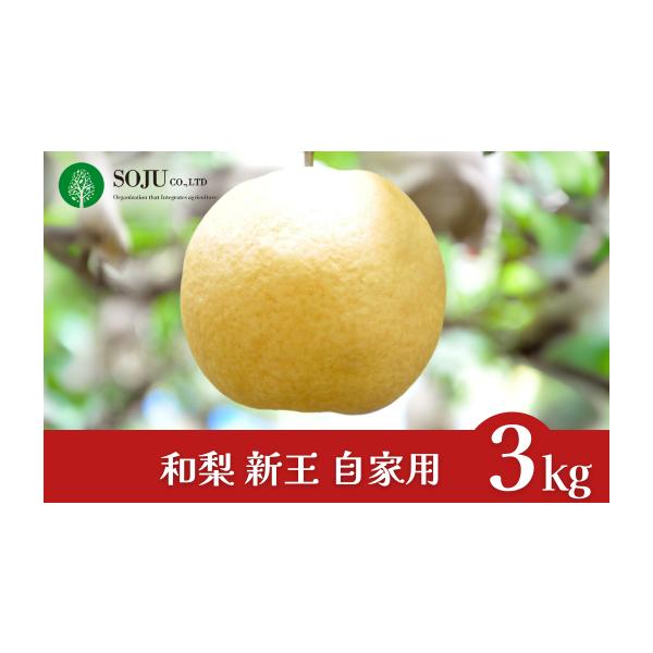 容量約3kg（4〜9個）消費期限発送日から1週間程度発送期日申込完了日から1〜2週間程度※天候や生育状況によって、お届け時期が前後する場合がございます。配送常温 時間指定 別送申込期日※数量限定のため、予定数量に達し次第受付終了事業者株式会...