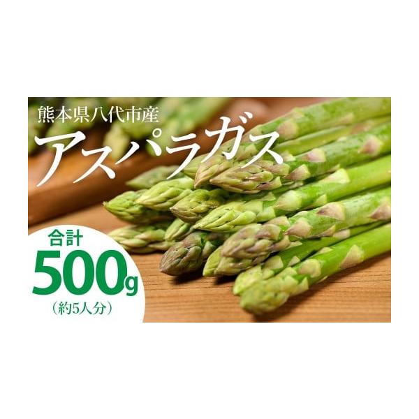 容量500g　約5人分消費期限返礼品到着から5日 (要冷蔵)発送期日ご寄附確認後、2026年4月上旬より順次発送予定※天候や発送状況により多少前後する場合がございますので、予めご了承ください。配送冷蔵 のし 時間指定 別送申込期日2026年...