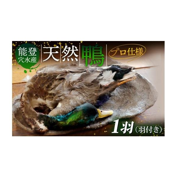 容量能登 穴水産 天然鴨（羽付き） 1羽発送期日入金確認完了から1〜2ヶ月以内に発送。※生産・天候・交通等の事情により遅れる場合があります。※配達日指定は承っておりません。配送冷凍 時間指定 別送申込期日通年事業者里山食品申込条件何度も申し込み可