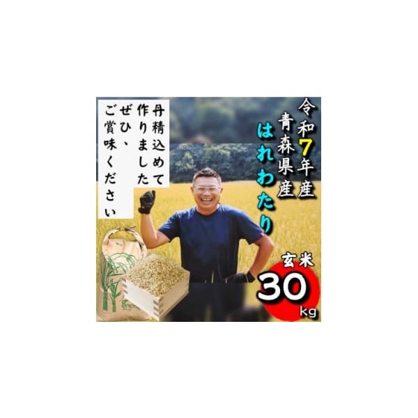 ふるさと納税 玄米 青森県 十和田市 令和7年産 青森県産はれわたり玄米