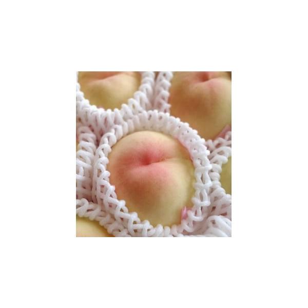 容量ご家庭用 清水白桃 3玉 (約1kg)消費期限到着より5日を目安にお召し上がりください発送期日2026年7月下旬〜2026年8月上旬に順次発送配送冷蔵 時間指定 別送申込期日〜2026年6月30日事業者藤井桃園申込条件何度も申し込み可、...