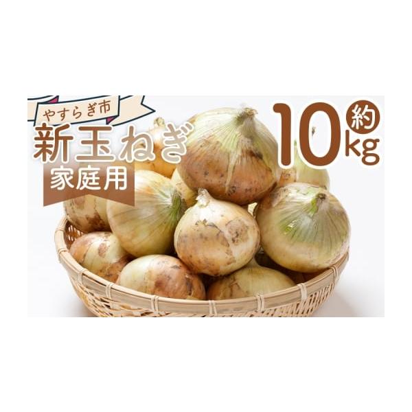 容量■家庭用 新玉ねぎ １０ｋｇ消費期限発送日含め1週間程度到着後はお早めにお召し上がりください発送期日3〜4月※収穫の状況により、配送が前後したり、期間が空く場合があります。ご了承ください。配送冷蔵 時間指定 別送申込期日〜２０２６年４月...