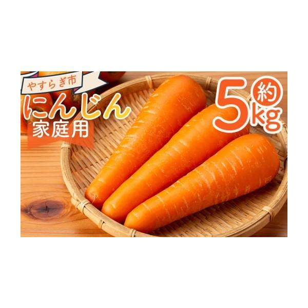 容量■家庭用 にんじん ５ｋｇ消費期限発送日含め1週間程度到着後はお早めにお召し上がりください発送期日11月〜2月末※収穫の状況により、配送が前後したり、期間が空く場合があります。ご了承ください。配送常温 時間指定 別送申込期日〜２０２６年...