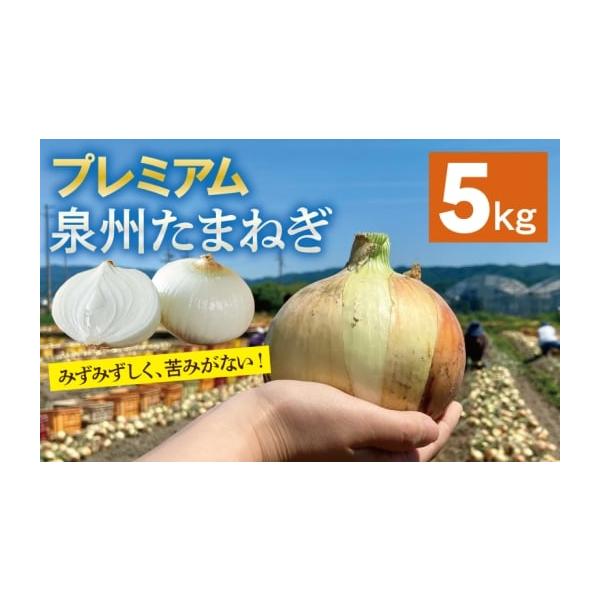 容量プレミアム泉州たまねぎ 5kg（10〜15玉）※画像はイメージです。消費期限お早めにお召し上がりください。発送期日2026年5月〜7月の期間で寄附受付順に発送予定配送常温 別送申込期日期間限定で受け付けております。事業者射手矢農園(株)...