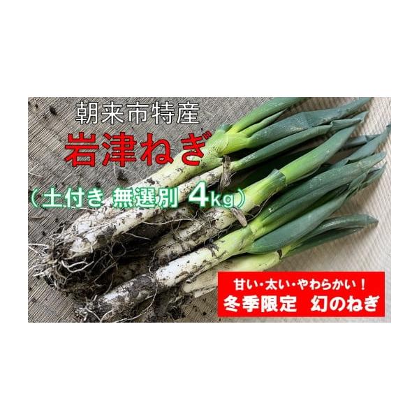 容量岩津ねぎ 土付き 太さ無選別 4kg消費期限発送日から1週間程度発送期日12月21日までの入金確認分は年内に発送します。12月22日以降の入金確認分は令和8年1月より順次発送します。※恐れ入りますが、発送期日のお問い合わせには対応いたし...