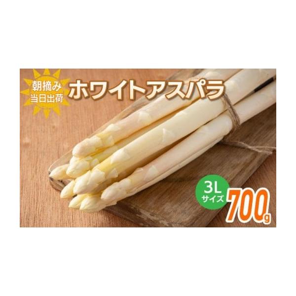 容量ホワイトアスパラガス 3L 700g 【2月〜4月お届け】消費期限出荷日+7日一度に食べきれない時はアスパラガスをラップに包み、冷蔵庫に立てて保存します。また、かために茹でたものをラップに包んで冷凍保存することもできます。発送期日2月〜...