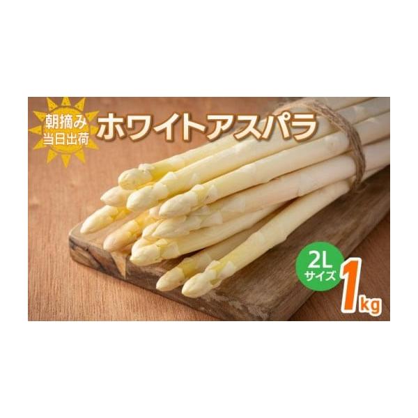 容量ホワイトアスパラガス 2L 1kg 【2月〜4月お届け】消費期限出荷日+7日一度に食べきれない時はアスパラガスをラップに包み、冷蔵庫に立てて保存します。また、かために茹でたものをラップに包んで冷凍保存することもできます。発送期日2月〜4...