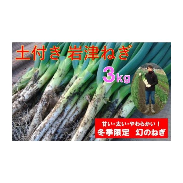 容量土付き岩津ねぎ3kg（箱入り）※太さや長さにより本数は異なります。消費期限賞味期限：発送日から10日間程度※お受け取り後は早めに開封し、屋外などの涼しいところで保存ください。発送期日11月下旬から順次発送（入金確認後1か月以内を目安に発...