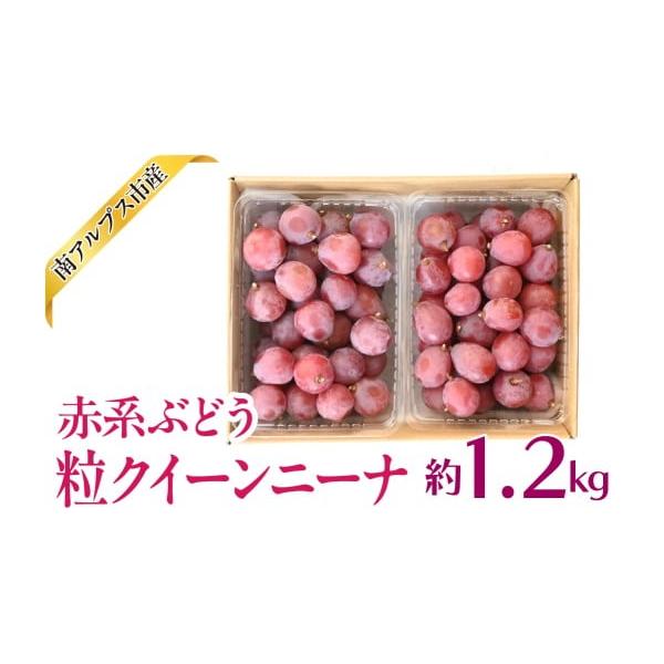 容量1.2kg（1パック　600g前後）消費期限3日発送期日2026年9月上旬〜9月中旬配送冷蔵 別送申込期日〜2026年9月上旬まで事業者南脈風花申込条件何度も申し込み可