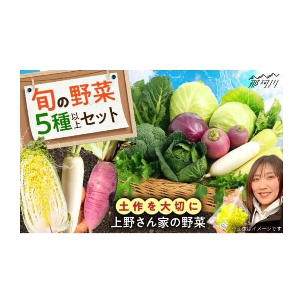 容量5種類以上※内容はお選びいただけません【原料原産地】福岡県消費期限【賞味期限】冷蔵庫などの適切な環境で保存し、到着後はお早めにお召し上がりください。発送期日10営業日以内で出荷収穫状況によりお日にちがかかる場合がございます。配送冷蔵 別...
