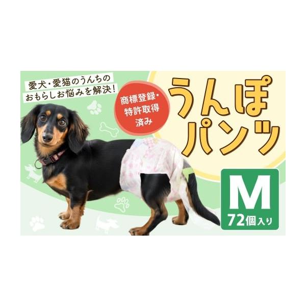 ふるさと納税 雑貨・日用品 福岡県 北九州市 うんぽパンツ Mサイズ 72