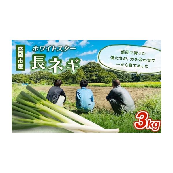 容量岩手県盛岡市産長ネギ 3kg品種 ホワイトスター消費期限発送から常温7日発送期日2025年11月上旬〜2026年3月下旬配送常温 別送事業者滝澤農園申込条件何度も申し込み可
