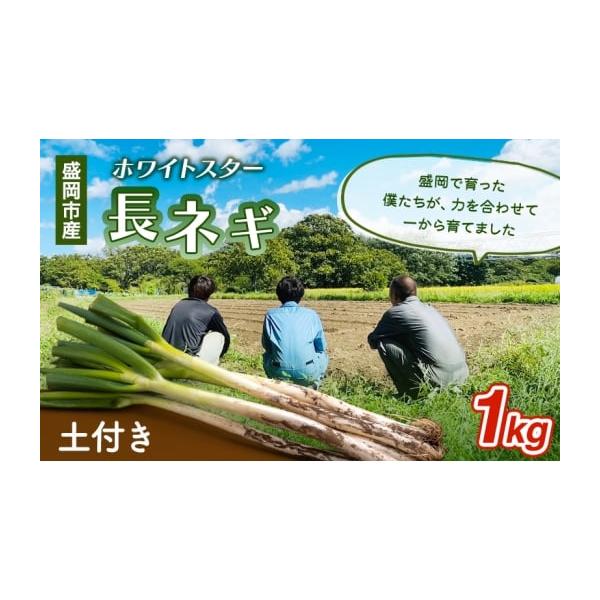 容量岩手県盛岡市産土付き長ネギ 1kg品種 ホワイトスター消費期限発送から常温7日発送期日2025年11月上旬〜2026年3月下旬配送常温 別送事業者滝澤農園申込条件何度も申し込み可