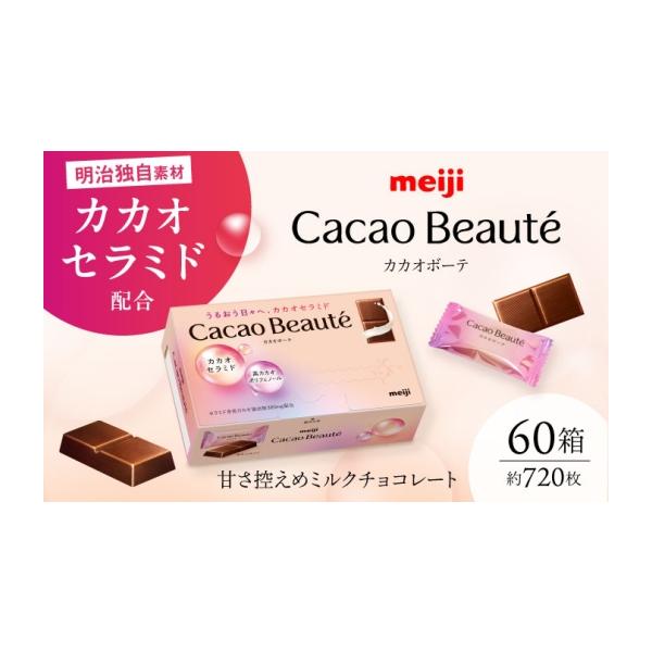 ふるさと納税 菓子 チョコレート 大阪府 高槻市 チョコレート うるおう日々へ、カカオセラミド カカオボーテ 60g×60箱 約720枚 チョコ 美容 大容量 お菓子 菓…