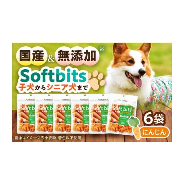 容量40g×6パックセット【成分】にんじんに含まれる成分はβカロテン、リコピン、食物繊維、鉄分、パントテン酸です。低カロリーで肥満抑制効果も期待できます。抗酸化作用・老化防止効果補助・眼病予防に役立ちます。 【原料原産地】鶏肉（国産）【加工...
