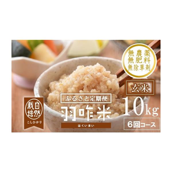 農家直送　種から育てた美味しいお米　コシヒカリ　玄米　10キロ　無農薬　天日 ふるさと納税 玄米 石川県 羽咋市 令和7年産 コシヒカリ （10kg × 6回
