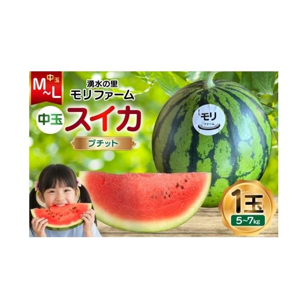 容量中玉スイカ（プチットスイカ）M〜Lサイズ(5〜7kg)×1玉■原産地長崎県島原市消費期限賞味期限：収穫日より7日程度（冷暗所で保存）※到着後は、お早めにお召し上がりください。発送期日2026年6月10日〜6月20日において順次発送※申込...